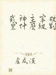 武神主宰破尘武皇什么级别