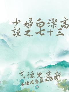 少妇白洁高义小说之七+三