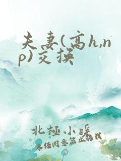 夫妻(高h,np)交换