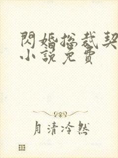 闪婚总裁契约妻小说免费