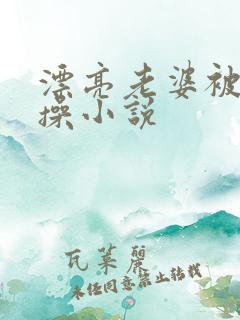 漂亮老婆被别人操小说