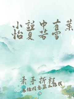 小说中有叶辰孙怡夏若雪