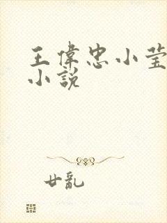 王伟忠小莹公媳小说
