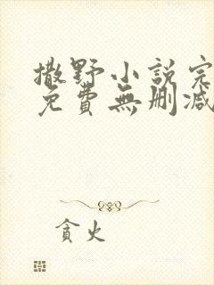 撒野小说完整版免费无删减版