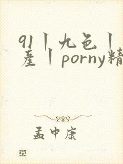 91丨九色丨国产丨porny精品