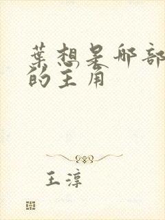 叶想是哪部小说的主角