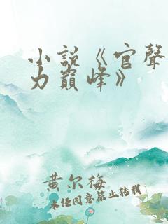 小说《官声之权力巅峰》