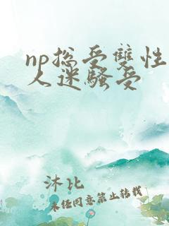np总受双性万人迷骚受