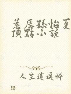 叶辰孙怡夏若雪顶点小说