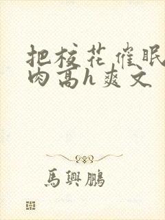 把校花催眠了纯肉高h爽文