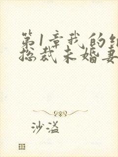 第1章我的绝色总裁未婚妻
