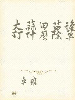 大蒜田苗后除草打什么除草剂