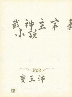 武神主宰 秦尘 小说