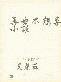 再也不想喜欢你小说