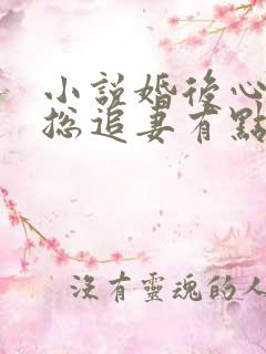 小说婚后心动凌总追妻有点甜