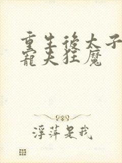 重生后太子妃成宠夫狂魔