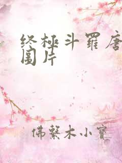 终极斗罗唐舞麟图片