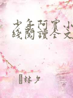 少年阿宾小说在线阅读全文无删减