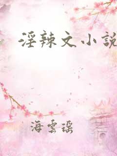 淫辣文小说