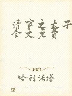 清穿之太子娇妃全文免费