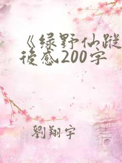 《绿野仙踪》读后感200字