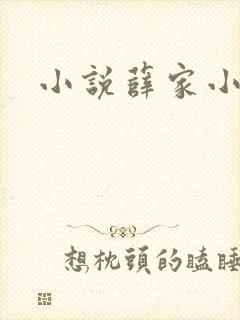 小说薛家小媳妇