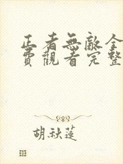 正者无敌全集免费观看完整版高清