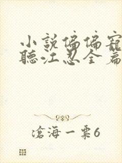 小说偏偏宠爱孟听江忍全篇