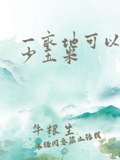 一亩地可以种多少玉米