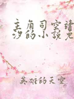 主角司空靖苏月汐的小说免费阅读