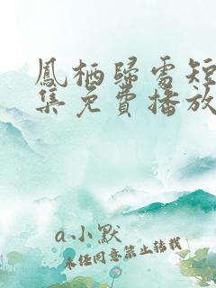 凤栖归处短剧全集免费播放