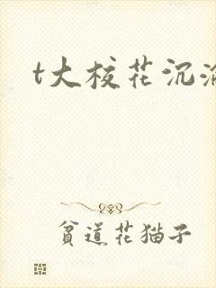 t大校花沉沦