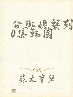 公与媳系列100集韩国