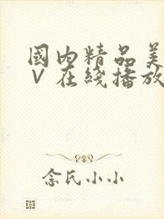 国内精品美女a∨在线播放