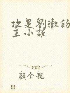 攻是刘彻的双男主小说