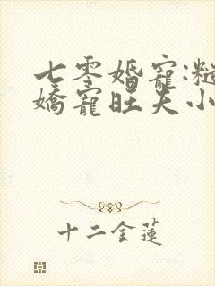 七零婚宠:糙汉娇宠旺夫小知青