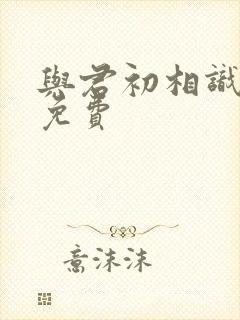 与君初相识小说免费