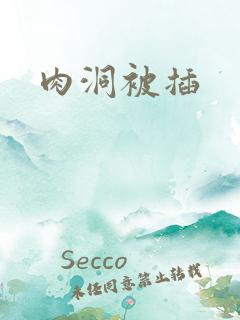 肉洞被插