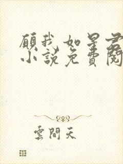 愿我如星君如月小说免费阅读全文