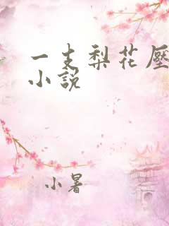 一支梨花压海棠小说