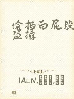 偷拍白屁股沟厕盗摄