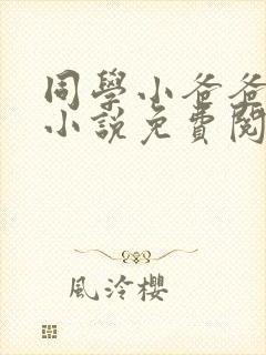 同学小爸爸李凯小说免费阅读