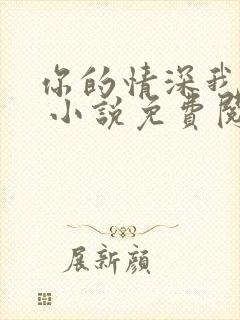 你的情深我不配 小说免费阅读