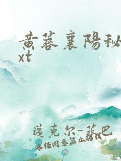 黄蓉襄阳秘史txt