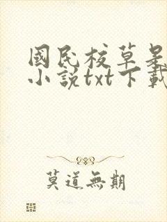 国民校草是女生小说txt下载