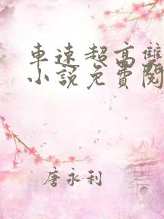 车速超高双男主小说免费阅读