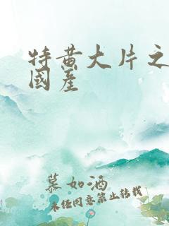 特黄大片之高清国产