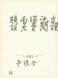 顾南琛沈岚晚小说免费阅读最新章节更新
