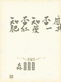 知否知否应是绿肥红瘦 一共多少集