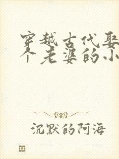 穿越古代娶了四个老婆的小说